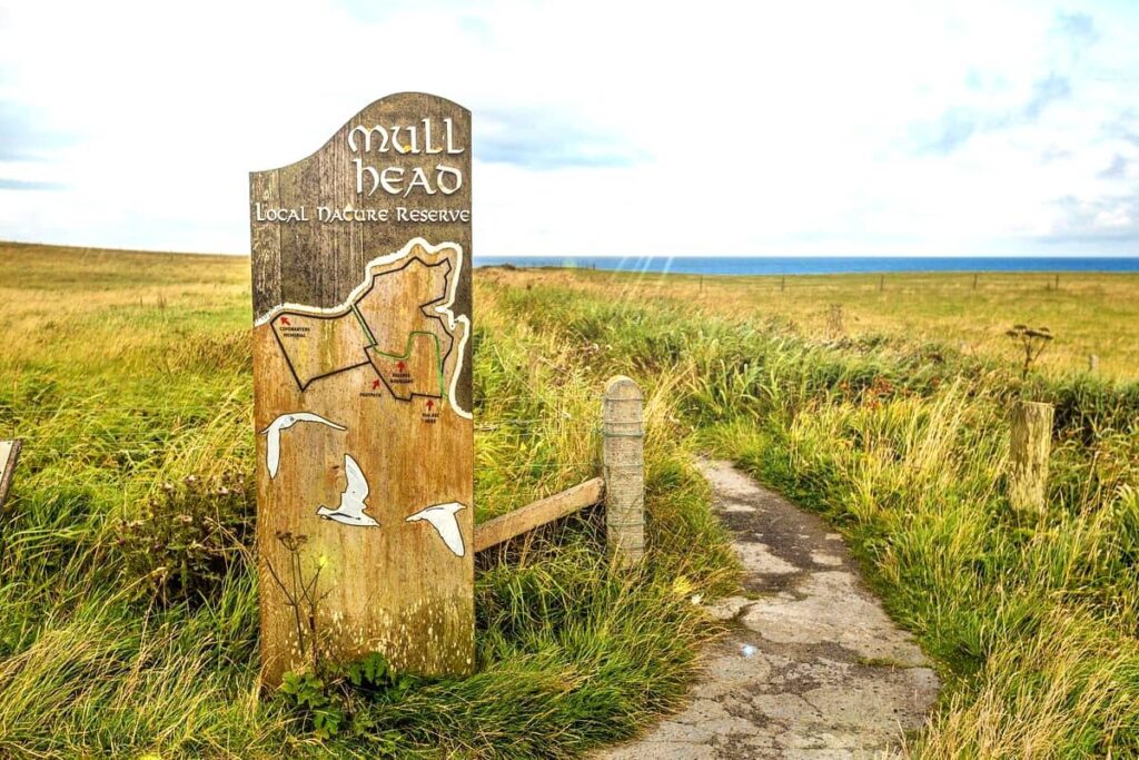 Mainland delle Orcadi: cosa vedere sull'isola più grande dell'arcipelago 9 mull head, mainland orcadi