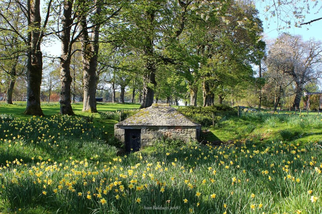 quando andare in scozia