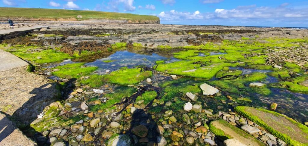 Brough of Birsay, orcadi