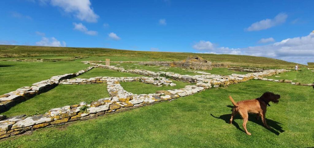 Brough of Birsay - resti villaggio vichingo