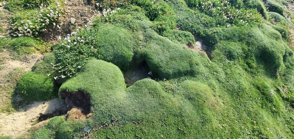 Kitchener’s Memorial, Marwick Head, isole orcadi