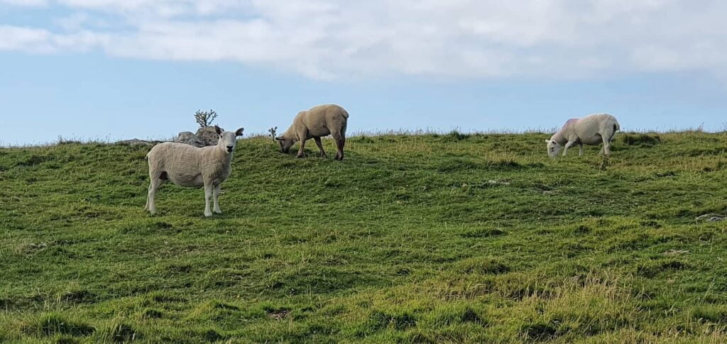 trekking isole orcadi