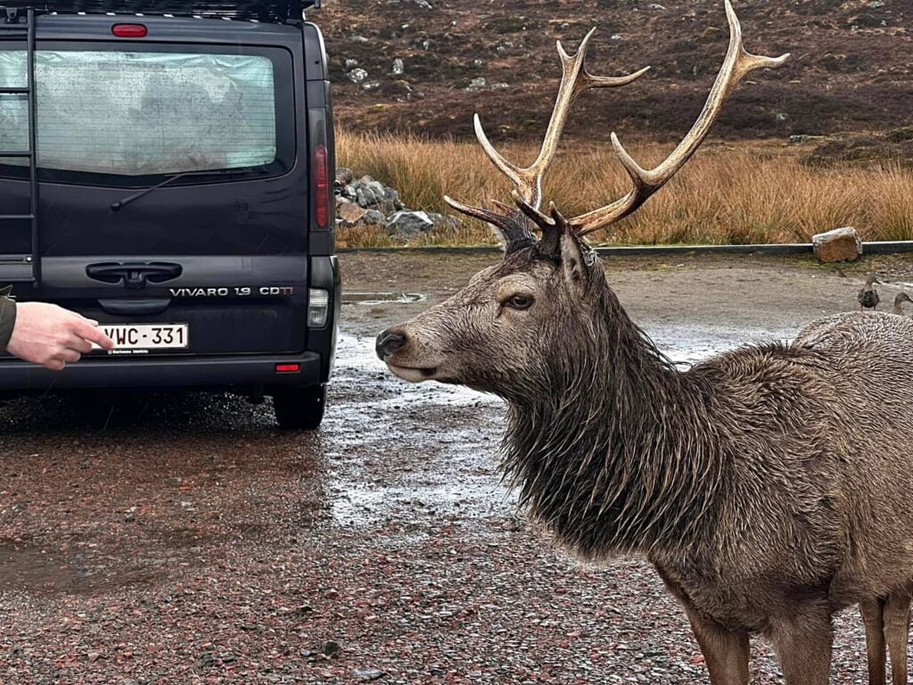 Glencoe la valle più romantica e selvaggia della Scozia 18 kinghouse hotel
