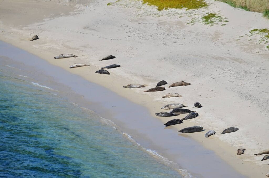Rerwick - le spiaggie più belle delle Shetland