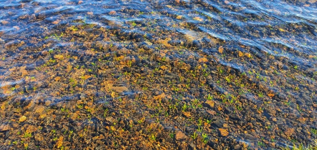 Eshaness - Loch of Houlland - isole shetland