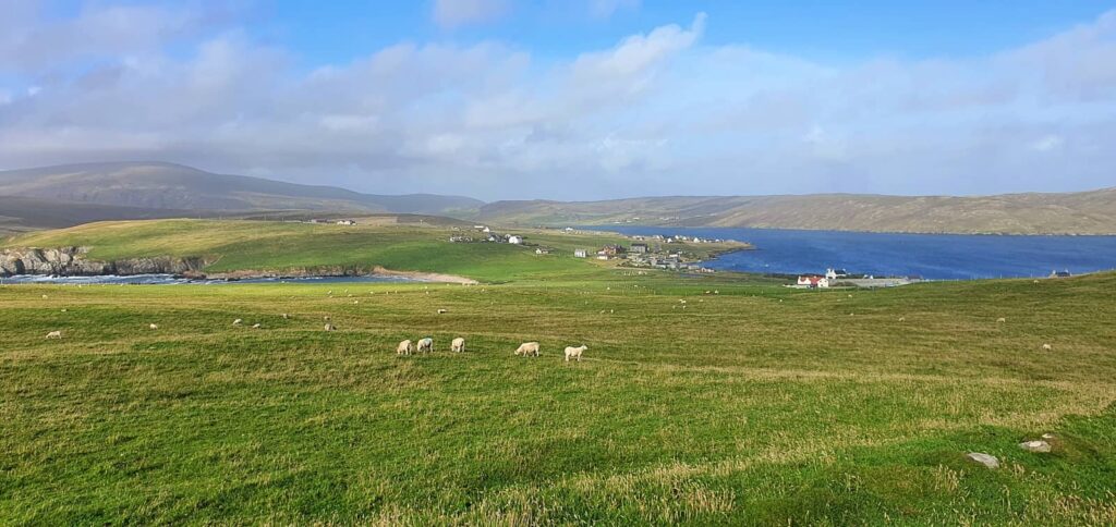 Ness of Hillswick, trekking isole shetland