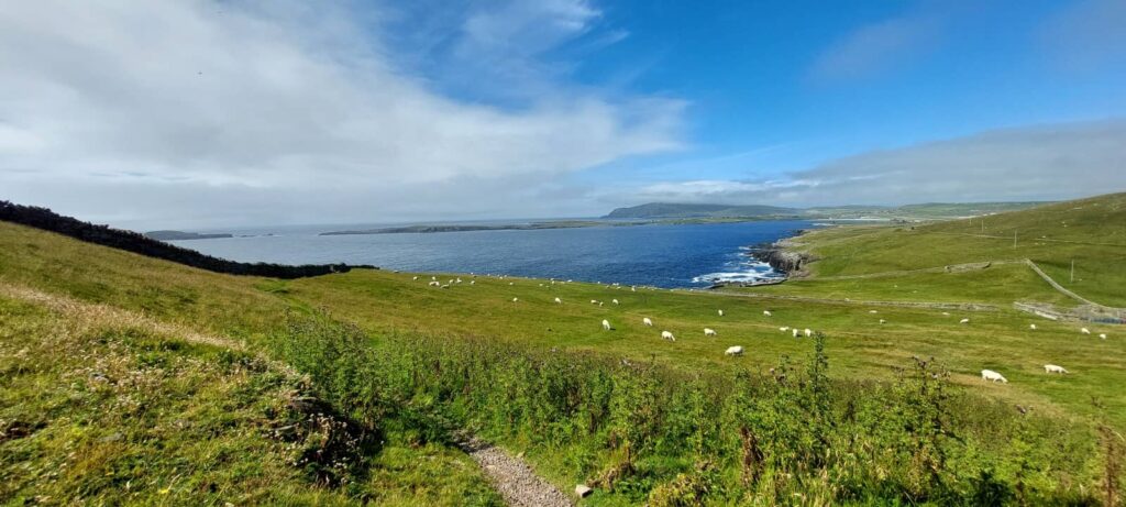 Sumburgh Head, trekking isole shetland