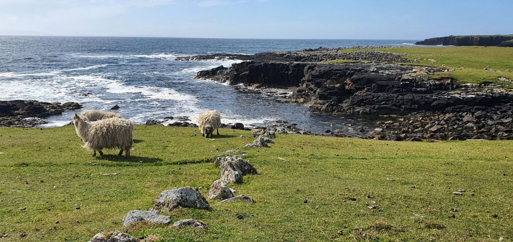 stenness beach, trekking isole shetland