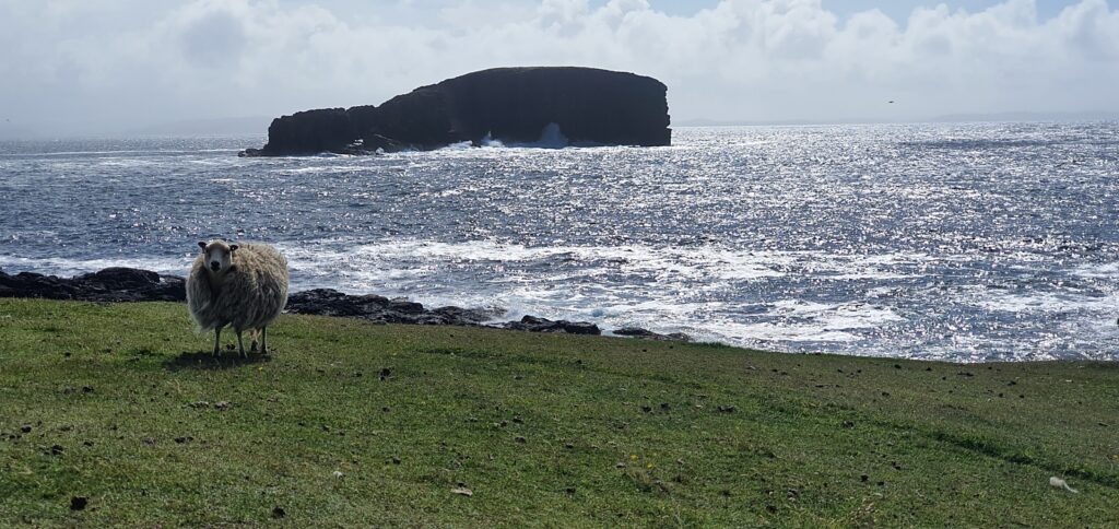 stenness beach, dore holm, trekking isole shetland