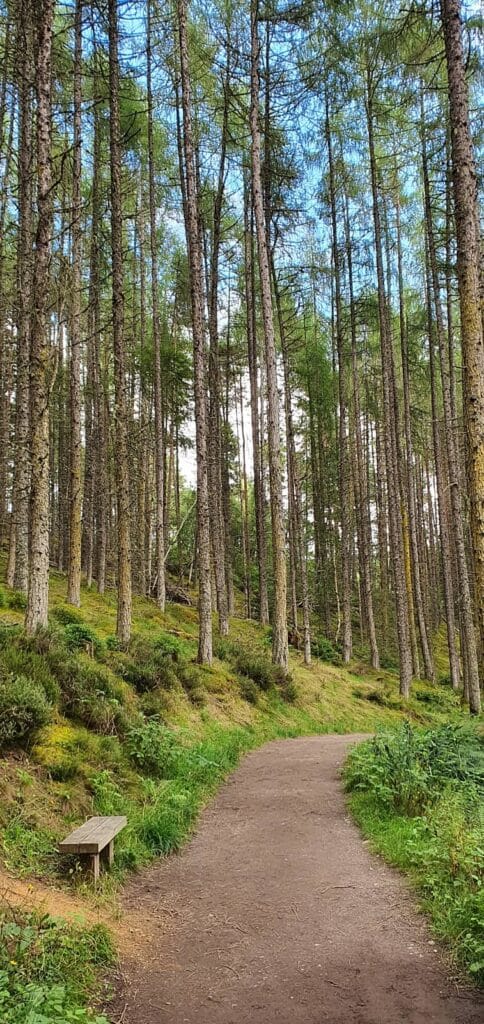 Rogie Falls, trekking scozia