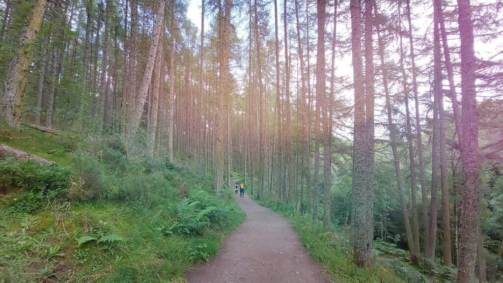 rogie falls - scozia