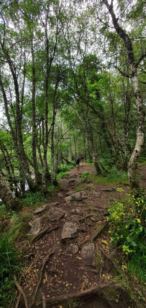 rogie falls - scozia