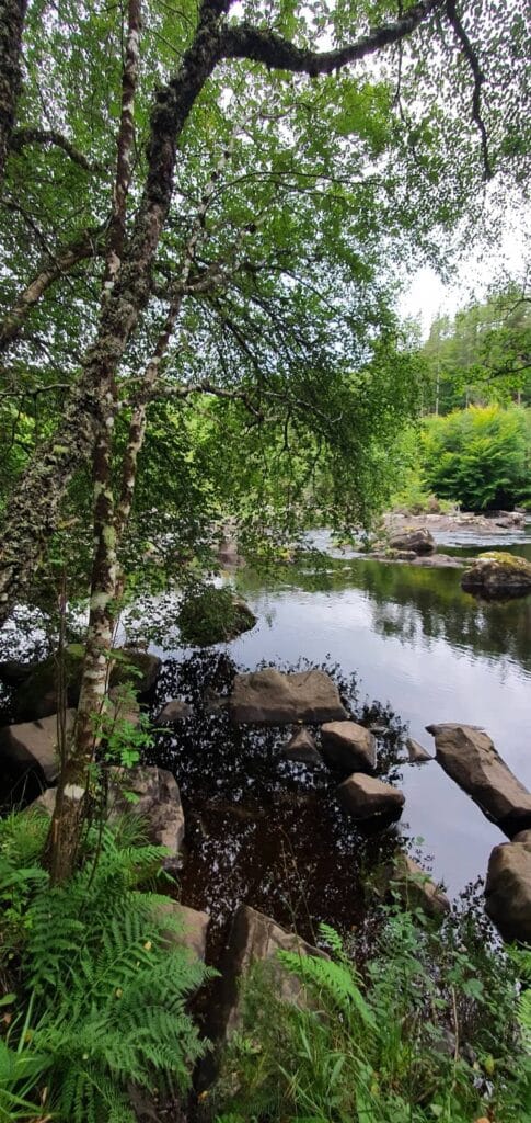 rogie falls - cascate della scozia