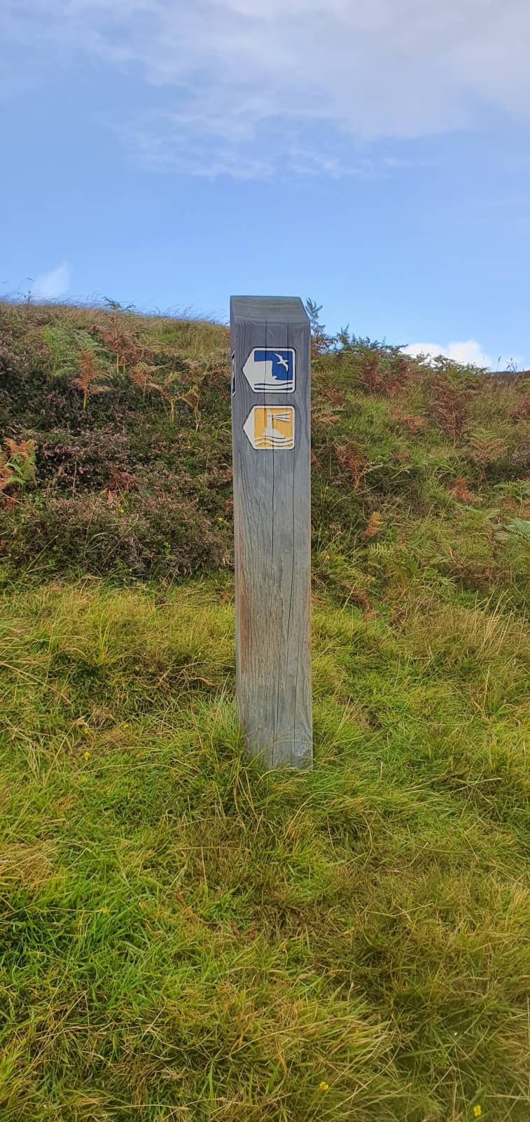 sentiero verso la riserva naturale di Hermaness, visitare unst