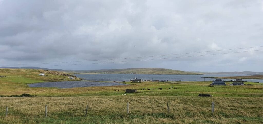 Esplora Yell, la selvaggia isola delle Shetland 46 paesaggi isola di yell, cullivoe