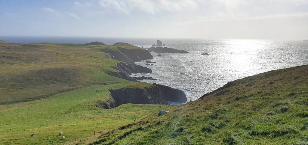Cosa vedere a Mainland Shetland: luoghi imperdibili e consigli di viaggio alle isole Shetland 125 coa fare a mainland shetland