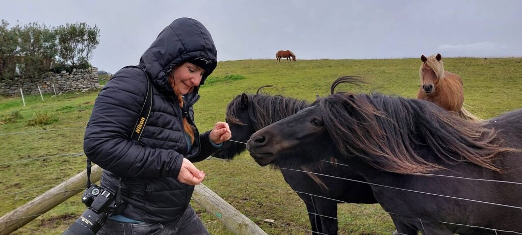 Cosa vedere a Mainland Shetland: luoghi imperdibili e consigli di viaggio alle isole Shetland 19 Red Houss Shetland, passeggiate a cavallo mainland shetland