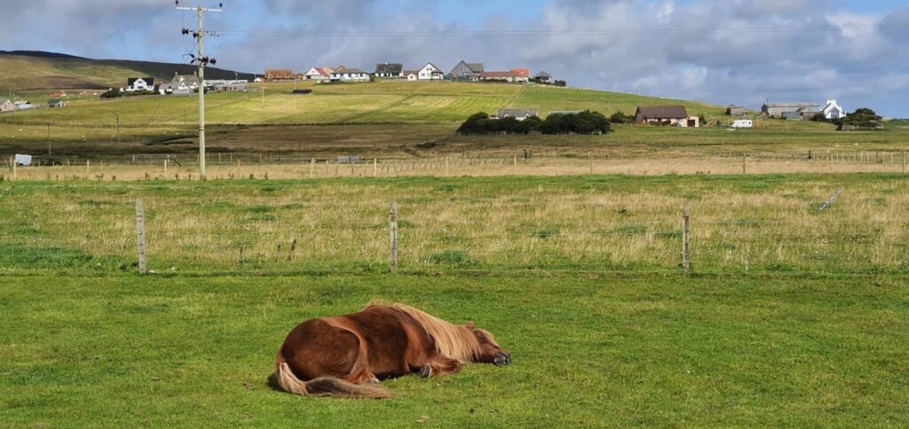 Cosa vedere a Mainland Shetland: luoghi imperdibili e consigli di viaggio alle isole Shetland 54 il villaggio di sandwick sud mainland shetland