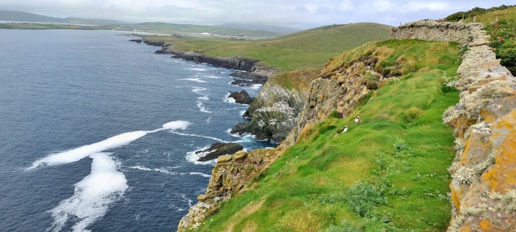 Sumburgh Head: il Faro dei Puffin e l’anima delle Shetland 35 Sumburgh Head Lighthouse