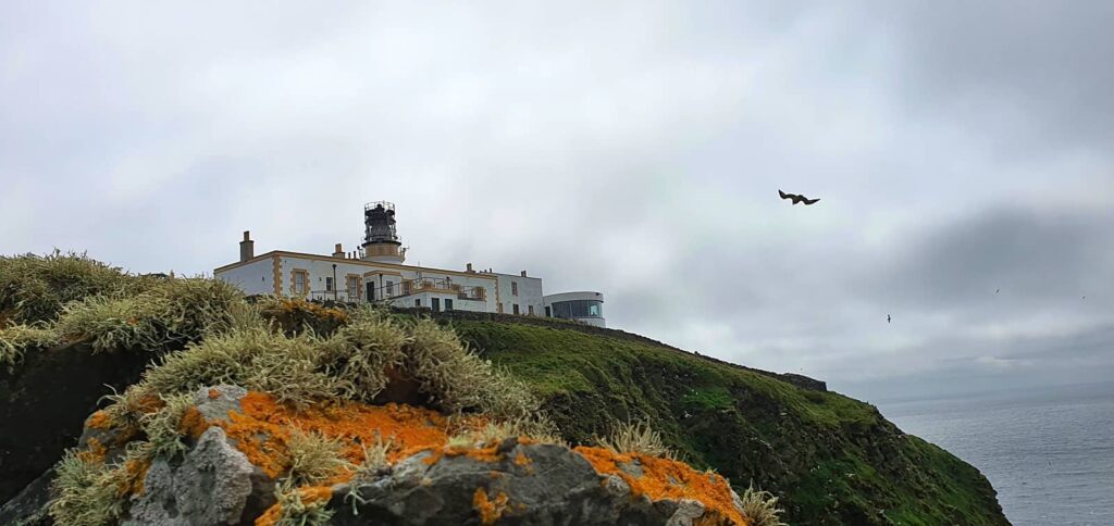 Sumburgh Head: il Faro dei Puffin e l’anima delle Shetland 34 Sumburgh Head Lighthouse