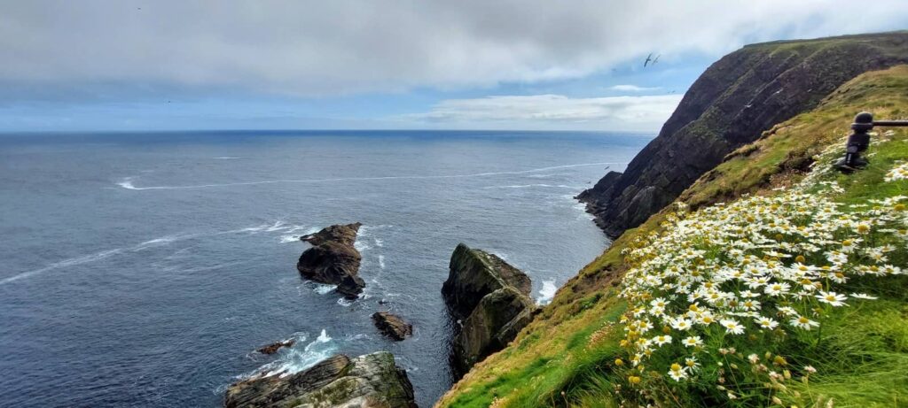 Sumburgh Head: il Faro dei Puffin e l’anima delle Shetland 31 Sumburgh Head Lighthouse, isole shetland