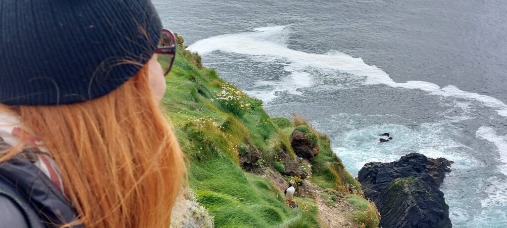 Sumburgh Head: il Faro dei Puffin e l’anima delle Shetland 10 Sumburgh Head Lighthouse, dove vedere i puffin alle shetland