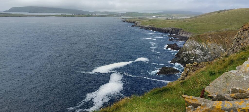 Sumburgh Head: il Faro dei Puffin e l’anima delle Shetland 30 Sumburgh Head riserva naturale