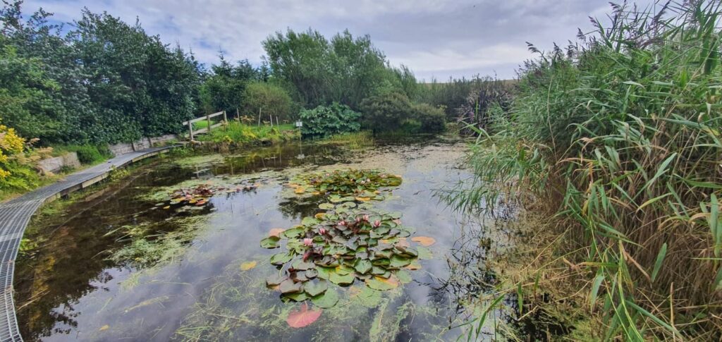 Cosa vedere a Mainland Shetland: luoghi imperdibili e consigli di viaggio alle isole Shetland 73 da giardinis, mainland shetland