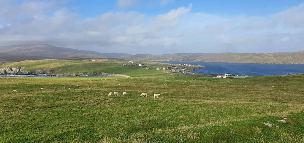 Cosa vedere a Mainland Shetland: luoghi imperdibili e consigli di viaggio alle isole Shetland 115 isole shetland, paesaggi di mainland