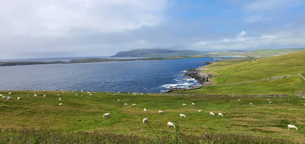 Cosa vedere a Mainland Shetland: luoghi imperdibili e consigli di viaggio alle isole Shetland 32 sumburgh head, mainland shetland