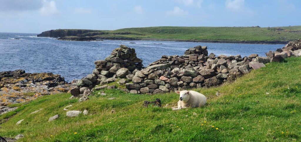 trekking isole Shetland