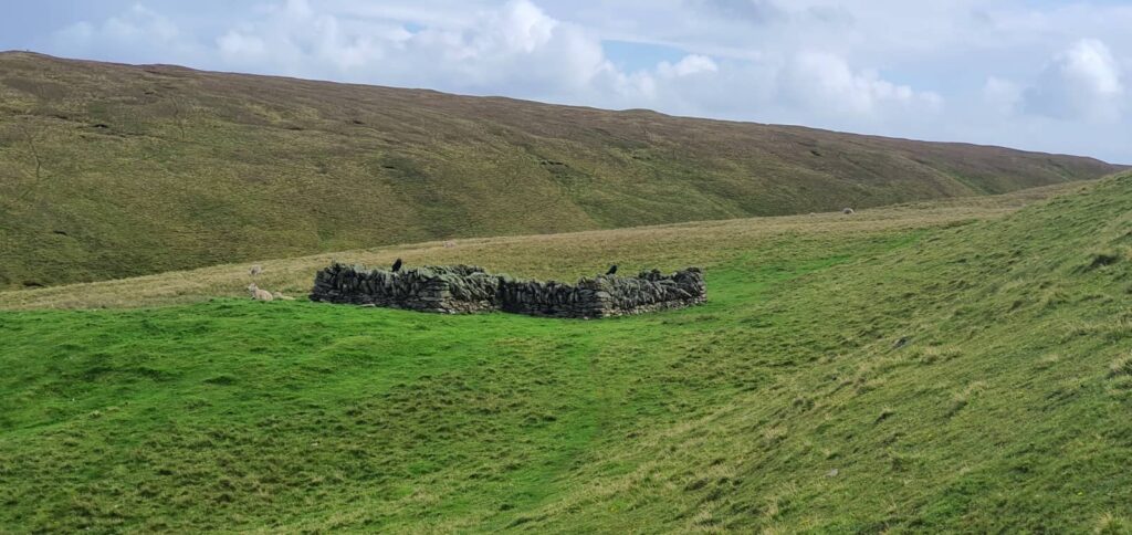 cosa vedere Hermaness natural reserve