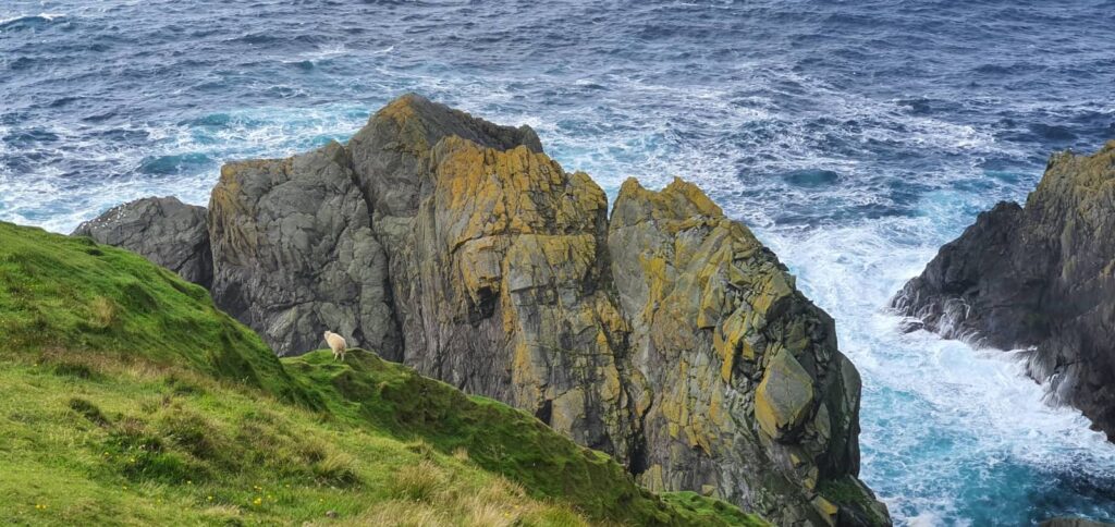 trekking Riserva di Hermaness