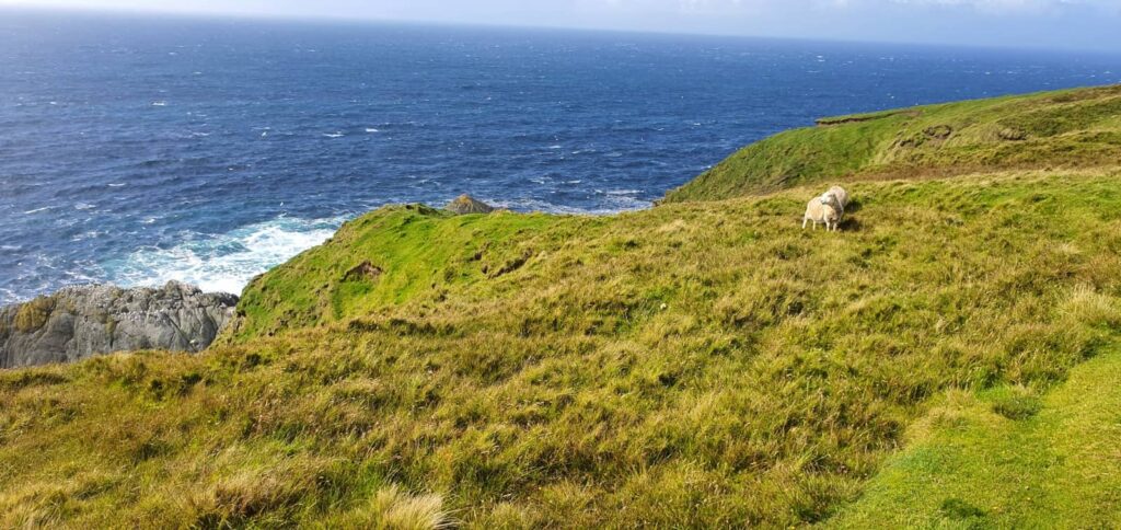 trekking Riserva Naturale di Hermaness