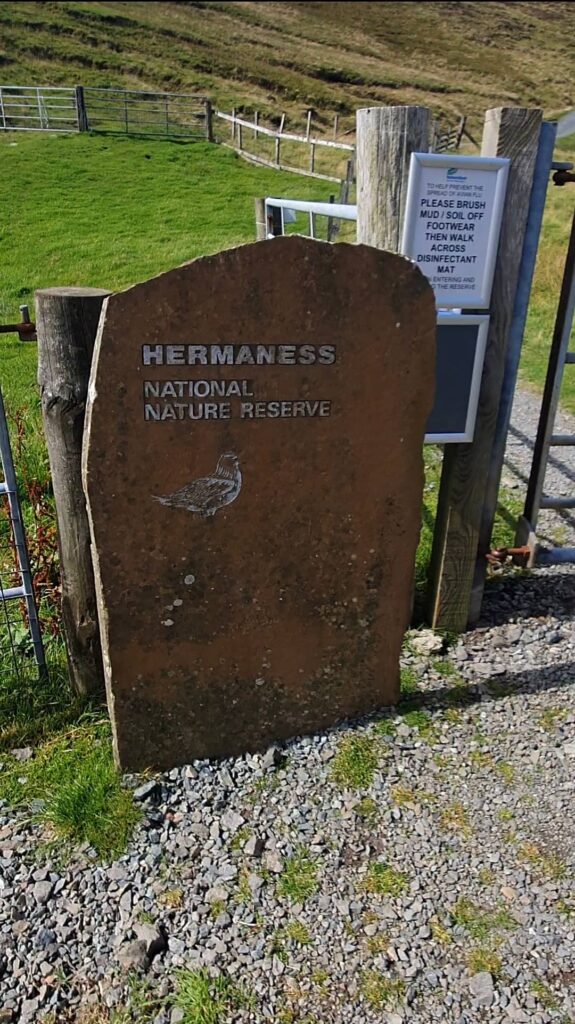 hermaness natural reserve