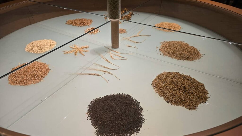 Museo del birrificio De Halve Maan con strumenti storici