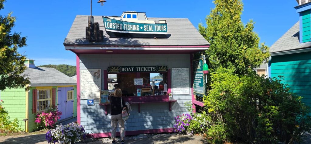 Cosa fare a Bar Harbor: tour in barca