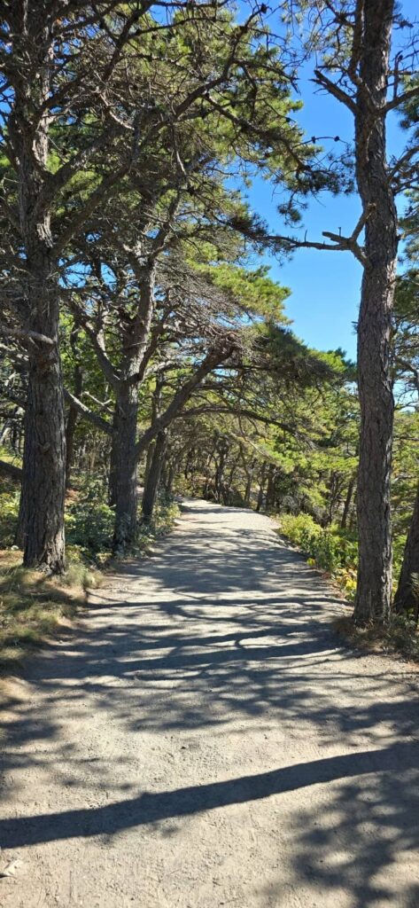 Ocean Path parco di Acadia 2