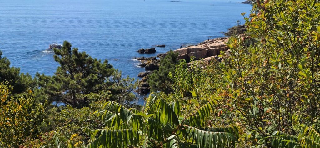 Ocean Path, parco di Acadia