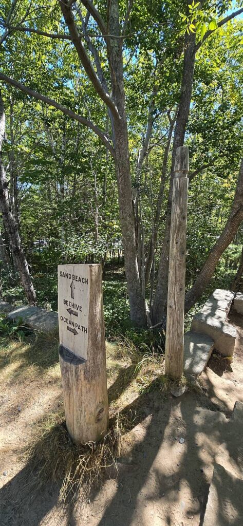 Ocean Path parco di Acadia