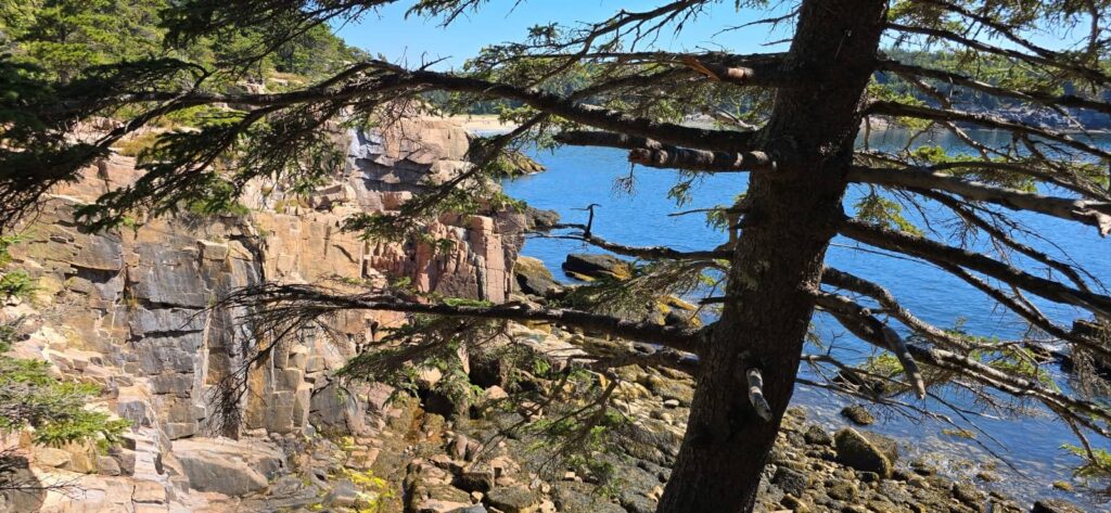 strada panoramica Ocean Path, parco di Acadia
