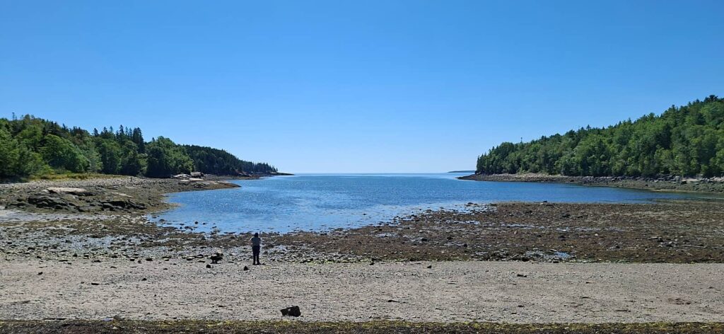 Otter Cove Bridge o Three Arch Bridge, acadia