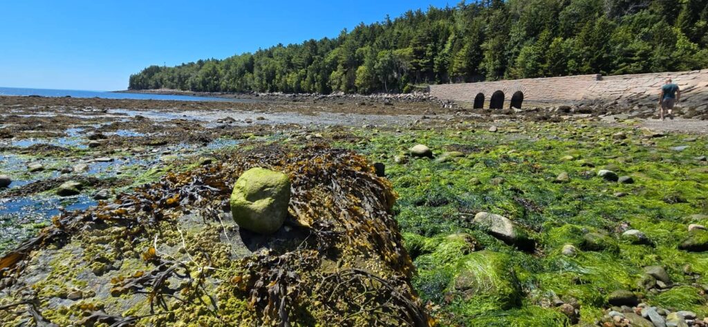 Otter Cove Bridge o Three Arch Bridge, acadia