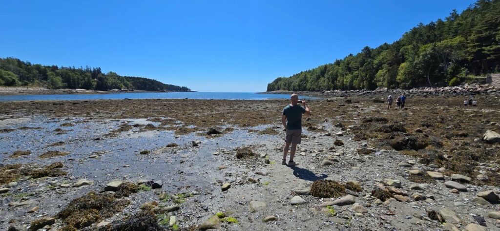 Otter Cove Bridge o Three Arch Bridge, acadia