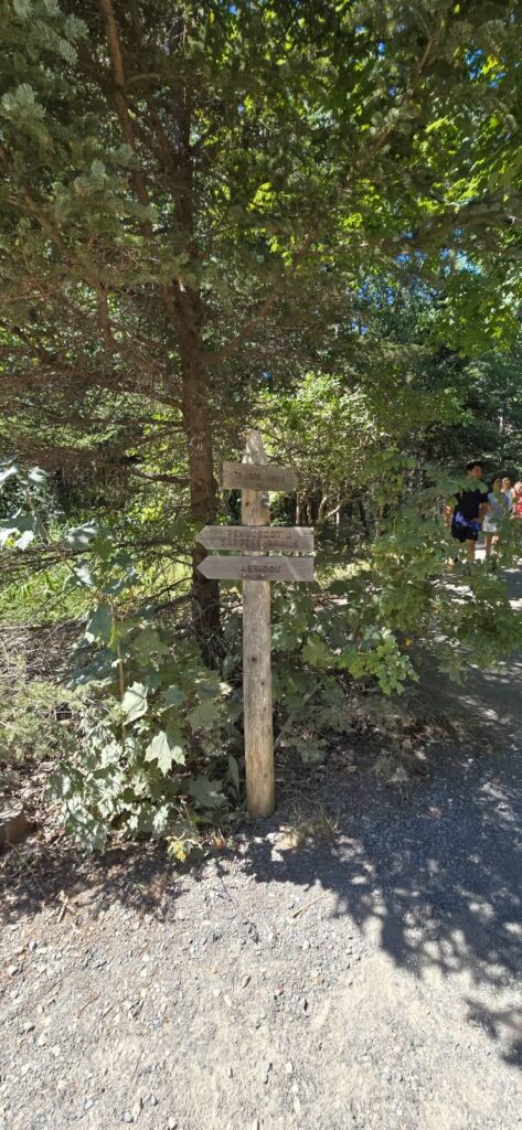 Shore Trail, jordan pond