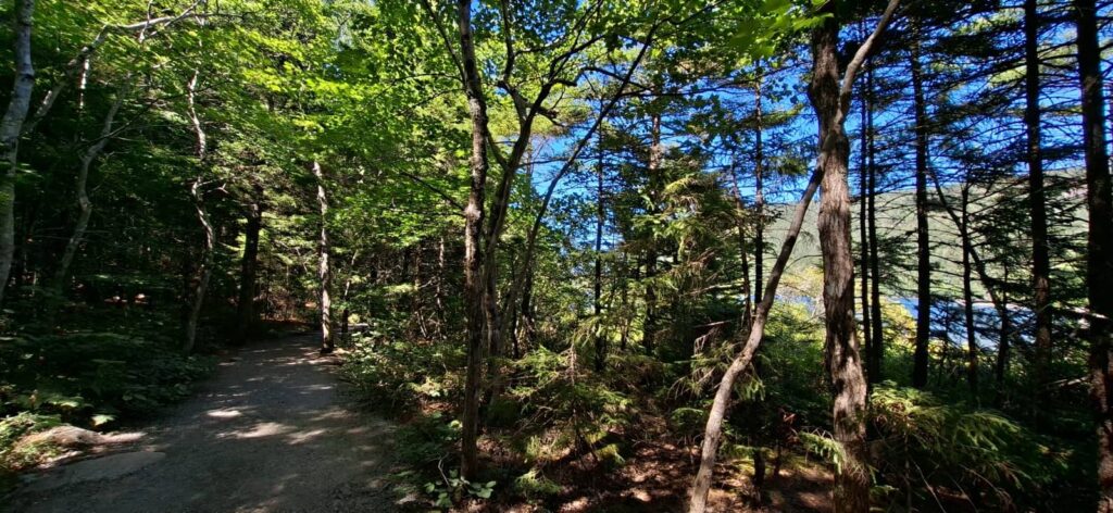 Shore Trail, passeggiate parco di acadia