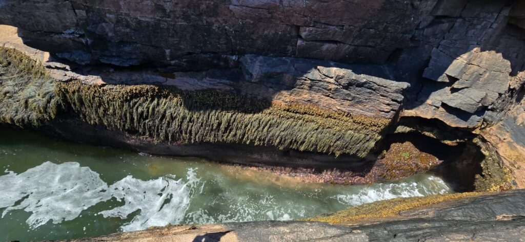 Thunder Hole, cosa vedere al parco di Acadia