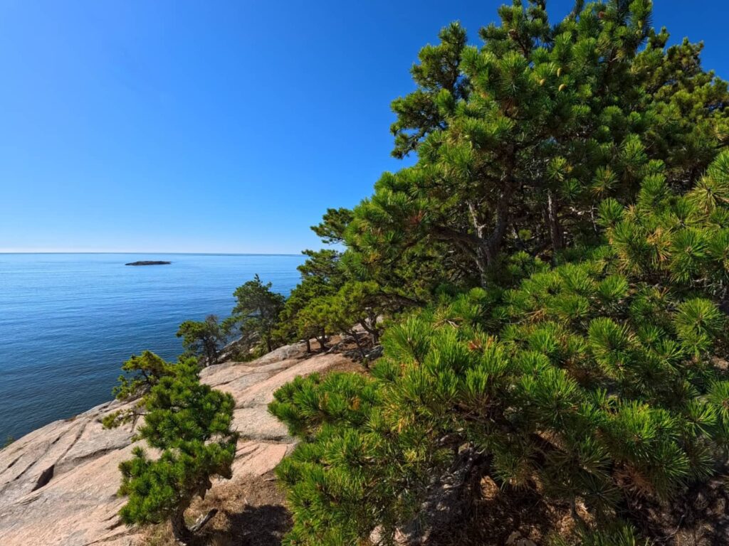 acadia national park, maine