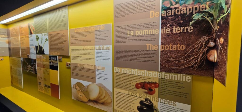 museo patatine fritte