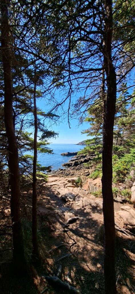 trekking acadia national park 2